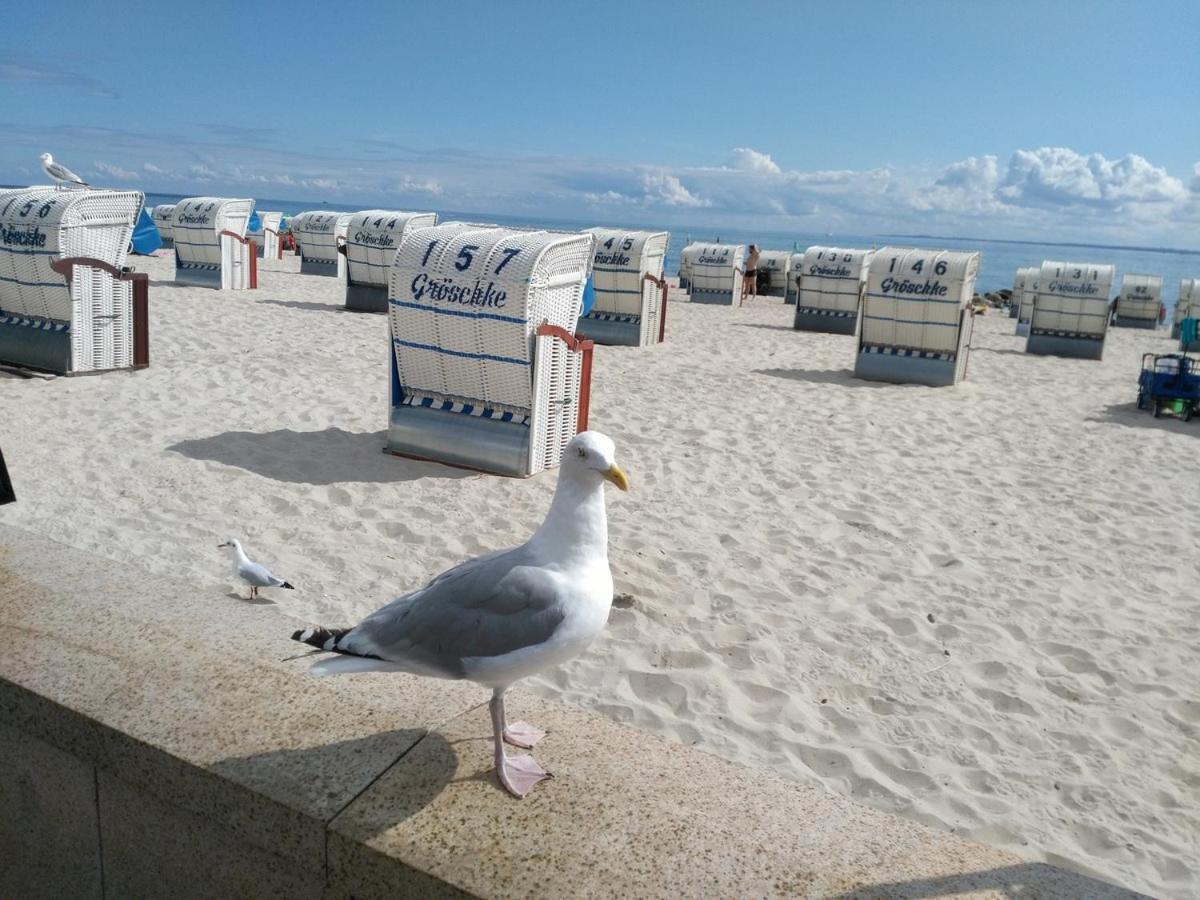 Ostsee Fewo By Wolf Groemitz Ngoại thất bức ảnh